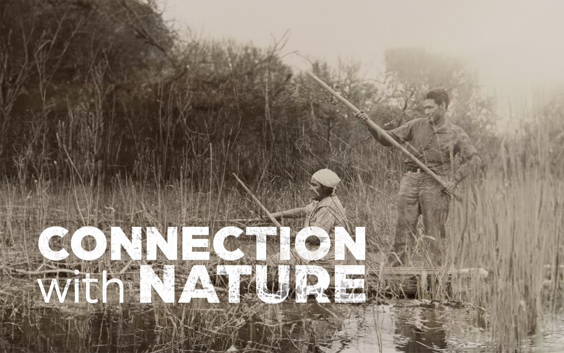 Harvesting Zizania traditionally with boat is the "wild" method of collecting the seeds of wild rice. It is a ritual which simbolizes the connection with mother nature.