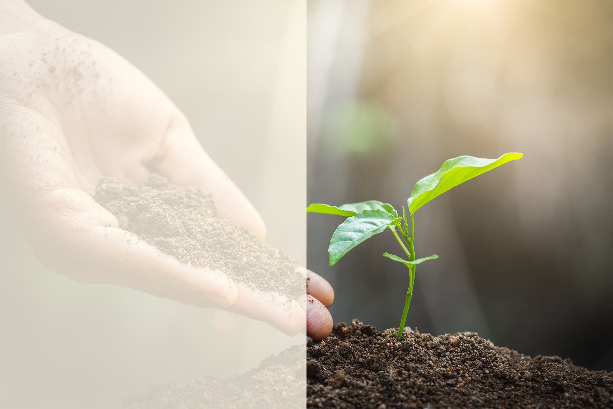 Preserving biodiversity