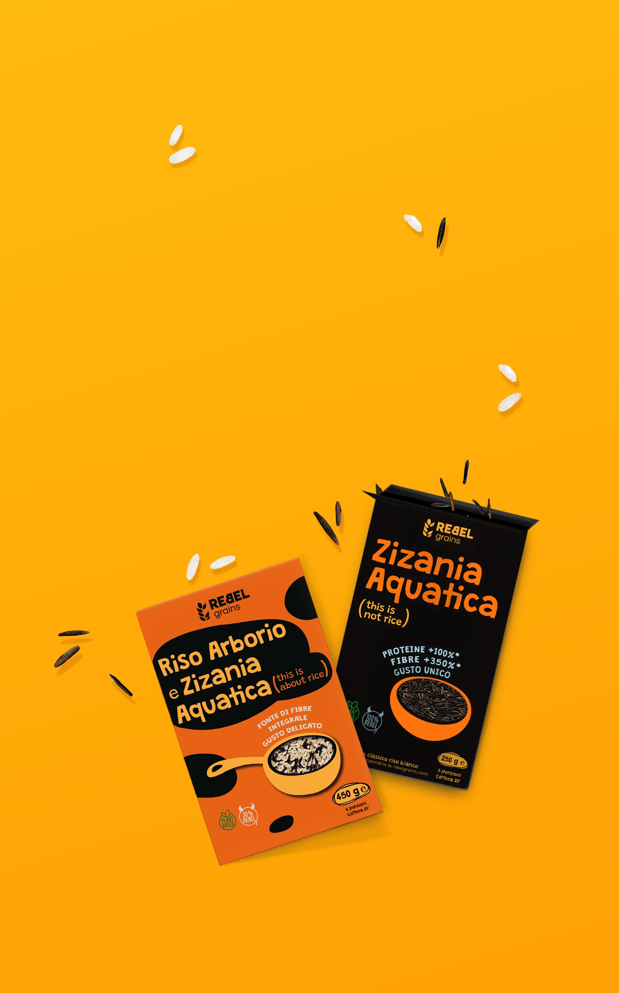 Our Zizania Aquatica wild rice stands as one of our Rebel Rice. – Rebel ...