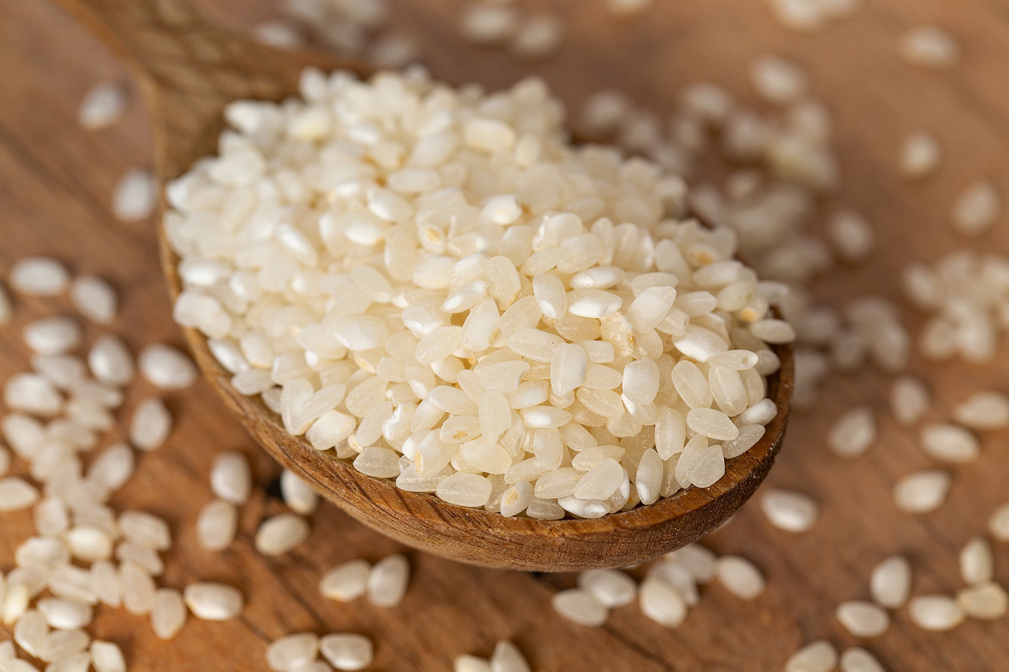 Rebel Rice Originario Rice – Rebel Grains