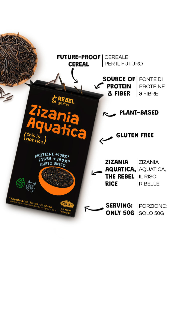 Our Zizania Aquatica wild rice stands as one of our Rebel Rice. – Rebel ...